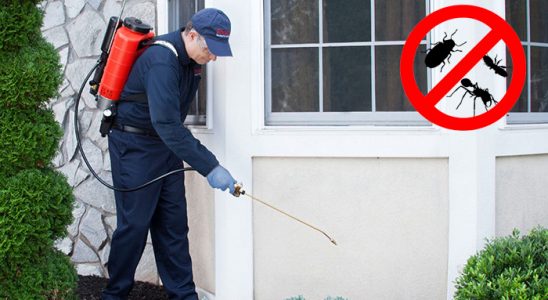 Beypazarı Kemirgen İlaçlama böcek ilaçlama ve haşere kontrolü — ilaclama-tr.com